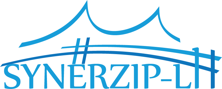 Logo Synerzip