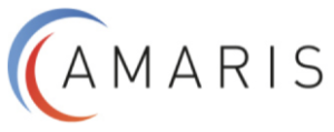 Logo Amaris SYNERZIP-LH 01